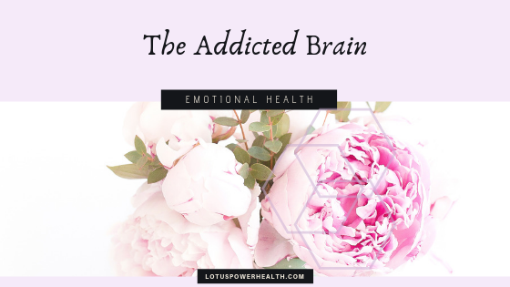 The addicted brain