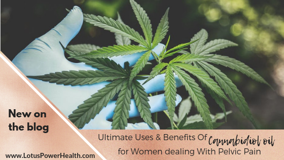 Ultimate uses and benefits of Cannabidiol oil for Women dealing With Pelvic Pain {Guest Article}