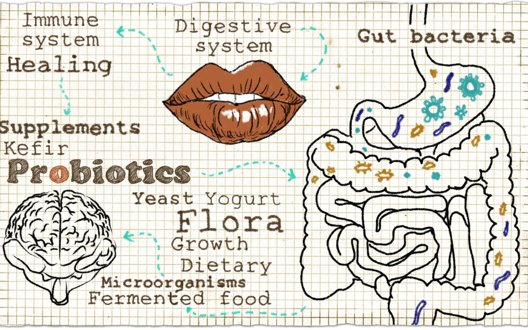 Improving Your Gut Health In Spring