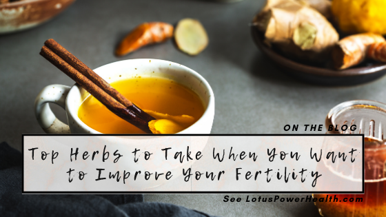 Top Herbs to Take When You Want to Improve Your Fertility