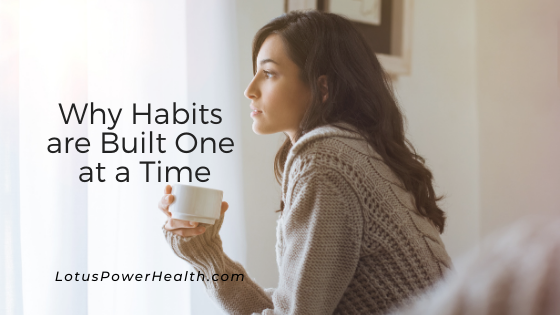 Why Habits are Built One at a Time