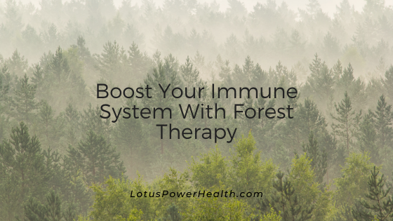 Boost Your Immune System With Forest Therapy