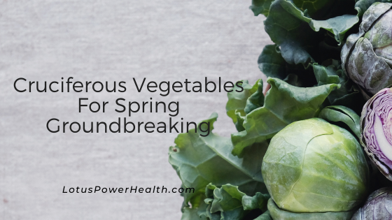 Cruciferous Vegetables For Spring Groundbreaking