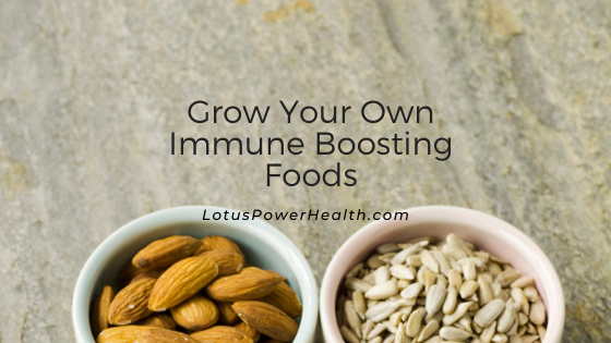 Grow Your Own Immune Boosting Foods