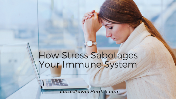 How Stress Sabotages Your Immune System