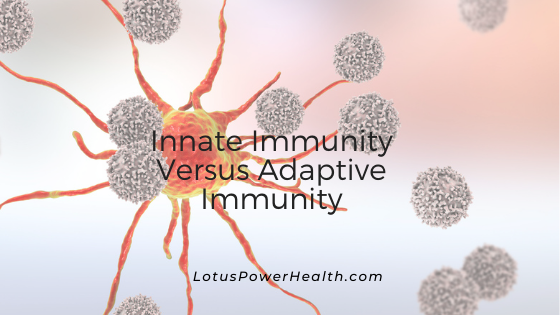 Innate Immunity Versus Adaptive Immunity