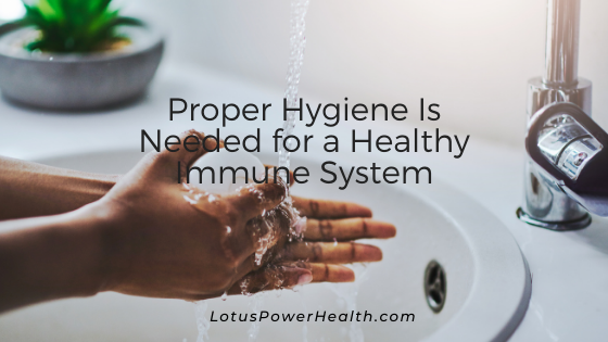 Proper Hygiene Is Needed for a Healthy Immune System