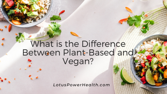 What is the Difference Between Plant-Based and Vegan?