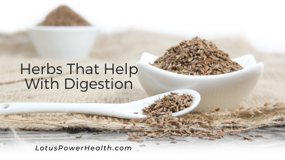 Herbs That Help With Digestion