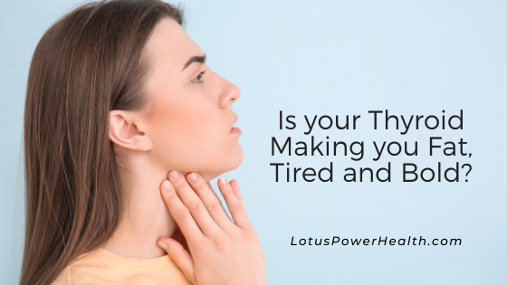 Is your thyroid making you fat, tired and bold?
