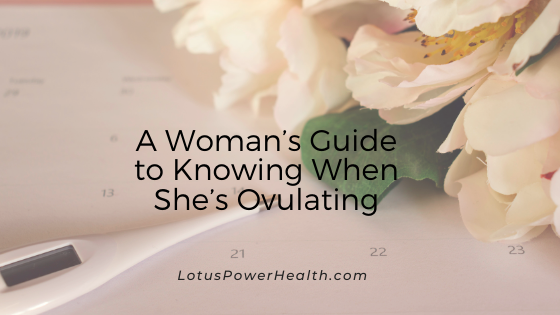A Woman’s Guide to Knowing When She’s Ovulating